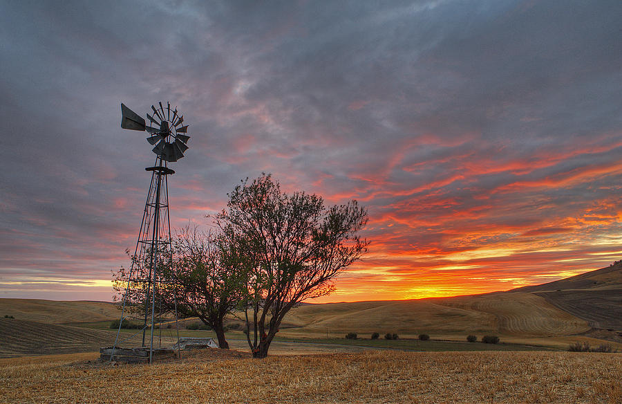 Fall Sunset and Windmill Photograph by Doug Davidson