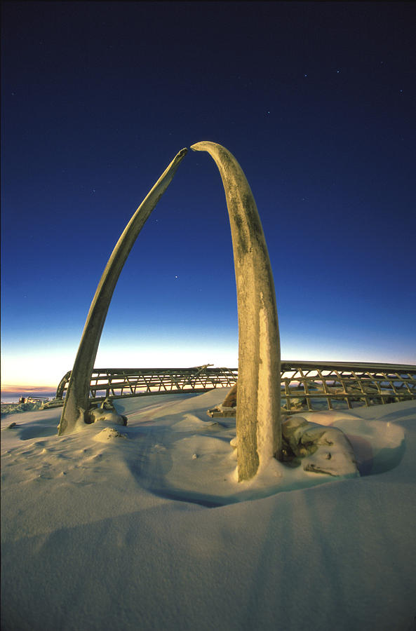 Sunset Arctic Ocean Whale Bone Monument Photograph by Chris Arend