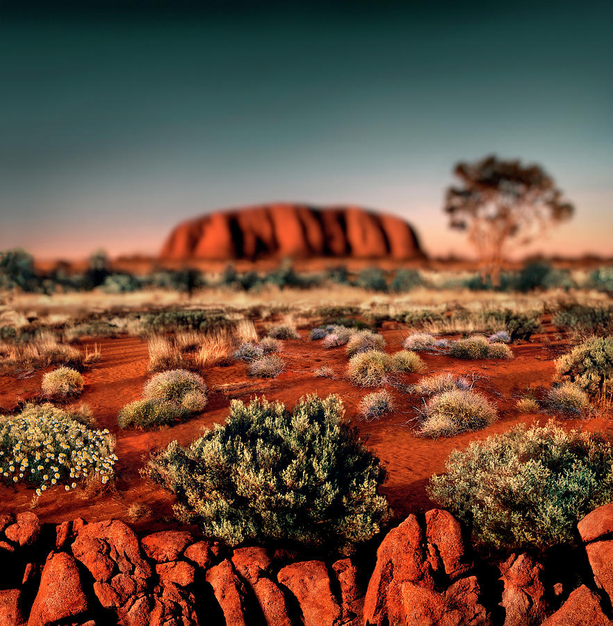 Nature Photograph - Sunset At Ayers Rock Uluru, Uluru by Per-Andre Hoffmann