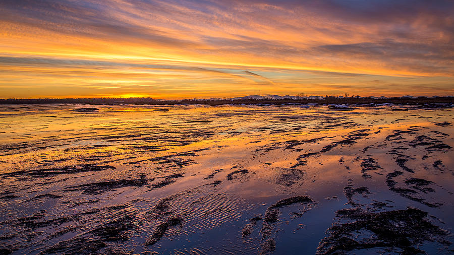 sunset at Boundary Bay Photograph by Pierre Leclerc Photography