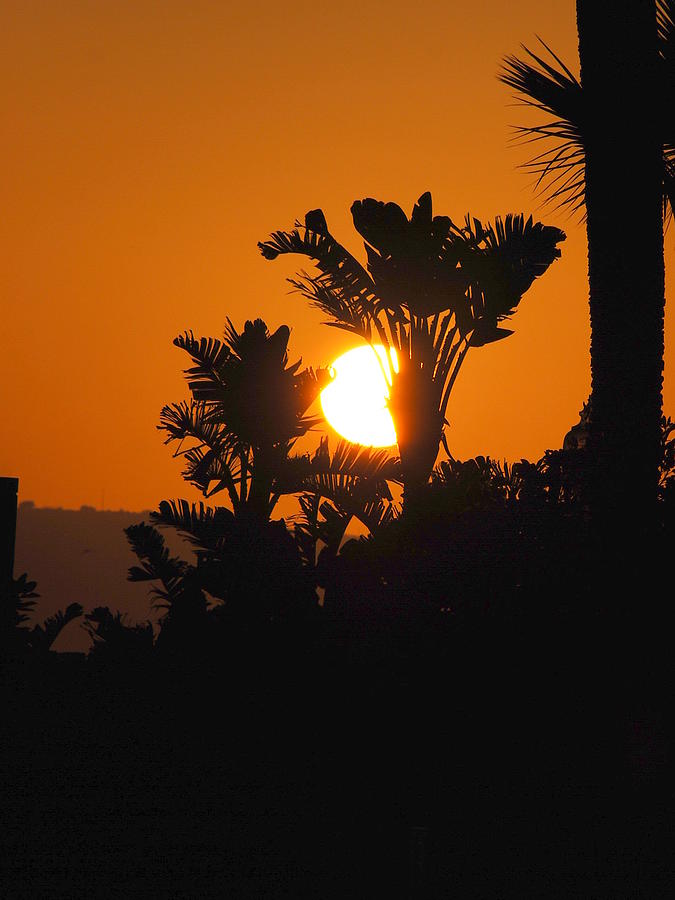Sunset at Coronado Beach Photograph by Caroline Stella