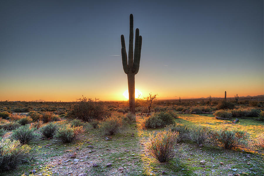 Sunset At Desert Photograph by Tonic Photo Studios Sunset At Desert Photograph by Tonic Photo Studios