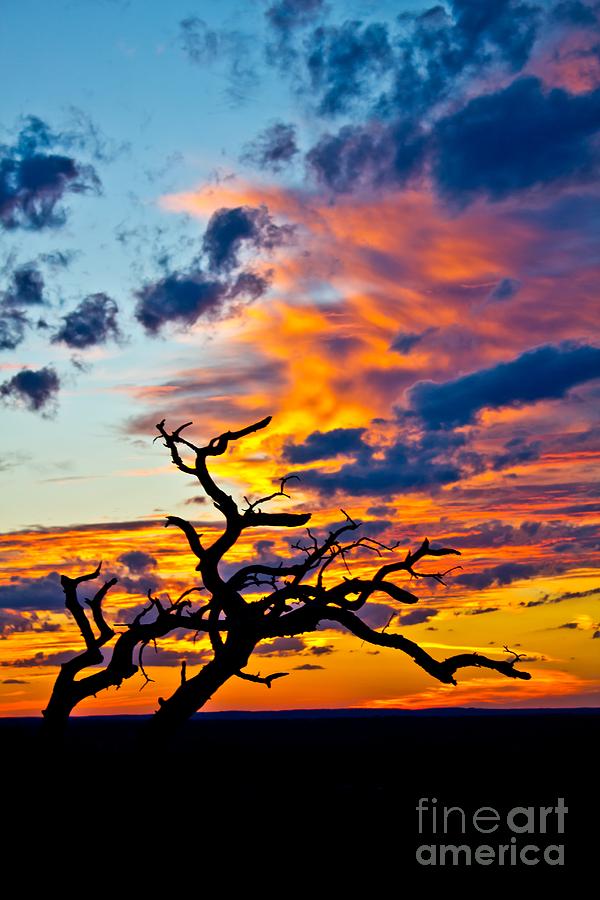 Sunset at Enchanted Rock Photograph by Michael Tidwell