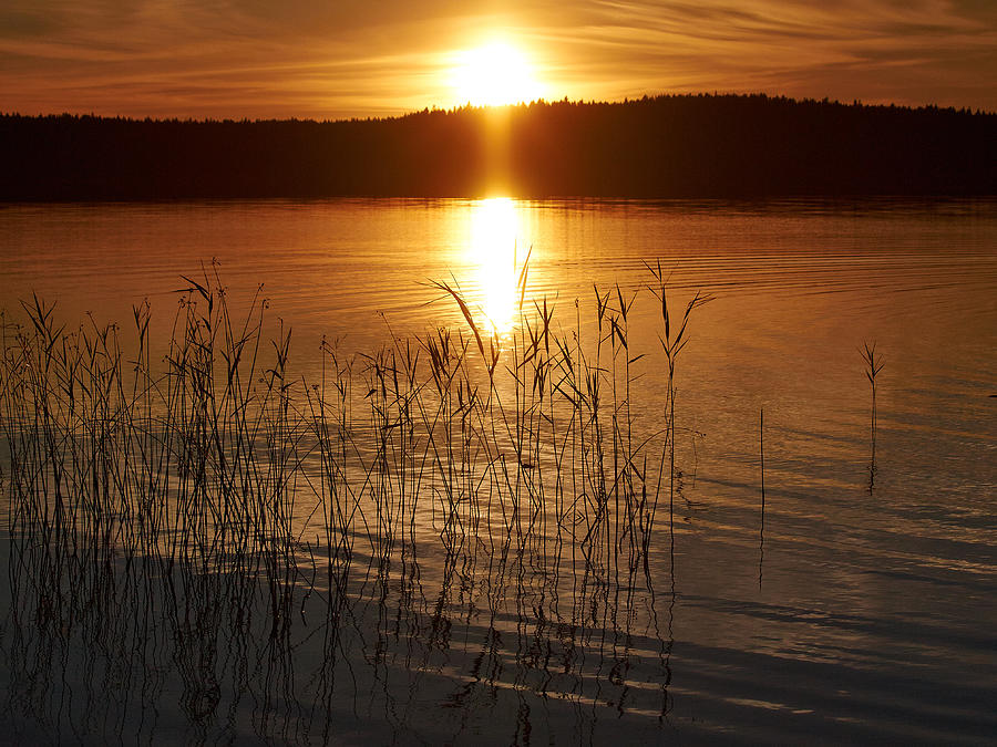 Sunset at Haukkajarvi Photograph by Jouko Lehto