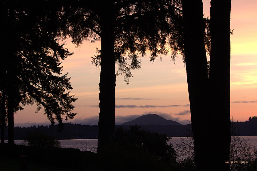 Sunset Photograph - Sunset At Lake Quinault by Jeanette C Landstrom