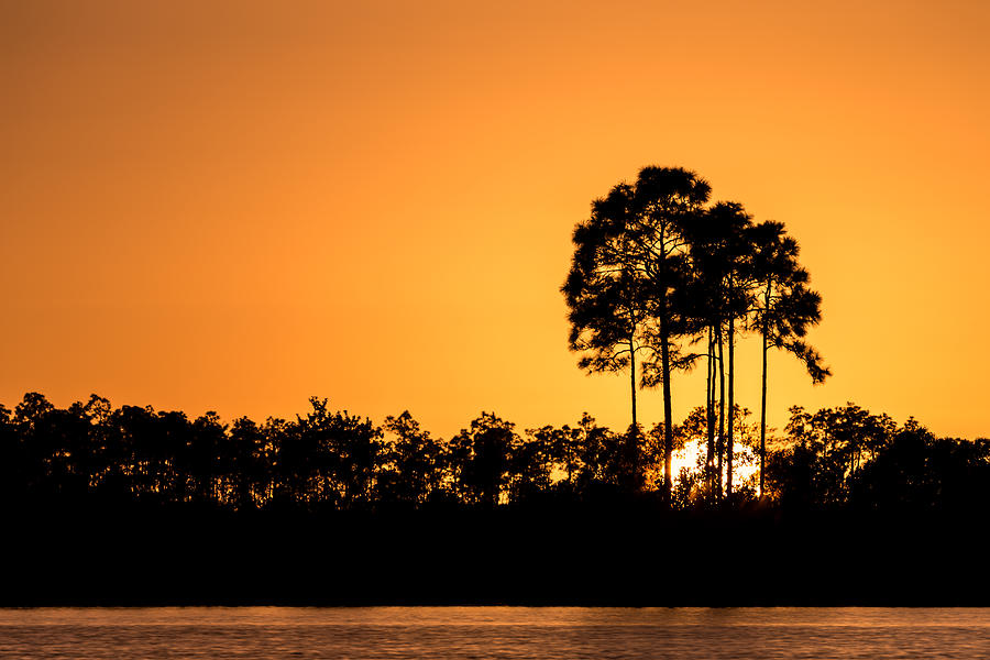 Sunset at Long Pine Key Pond Photograph by Andres Leon