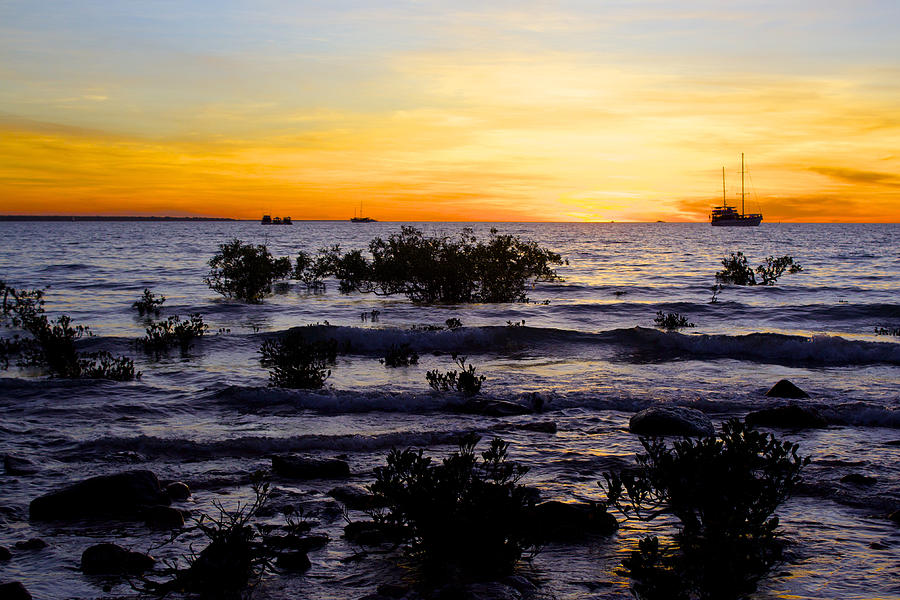 Sunset Photograph - Sunset at Mindil Beach Darwin by Venetia Featherstone-Witty