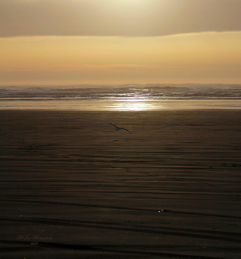 Sunset Photograph - Sunset At Ocean Shores II by Jeanette C Landstrom