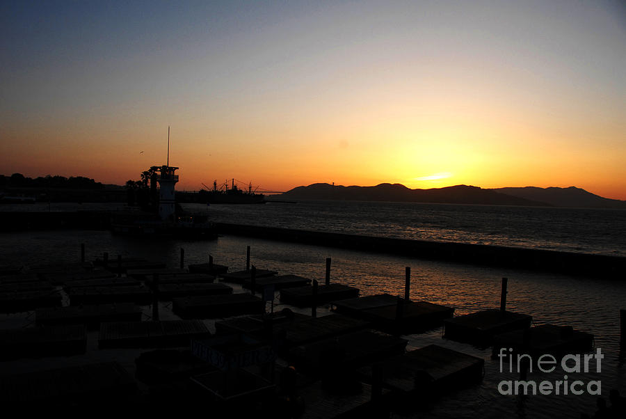 San Francisco Photograph - Sunset at Pier 39 by Laraine C Photography