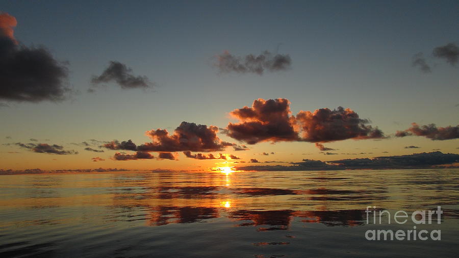 Sunset at Sea Photograph by Laura  Wong-Rose