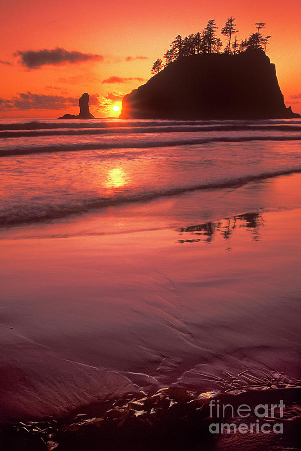 Sunset at Second Beach Olympic National Park Photograph by Dave Welling