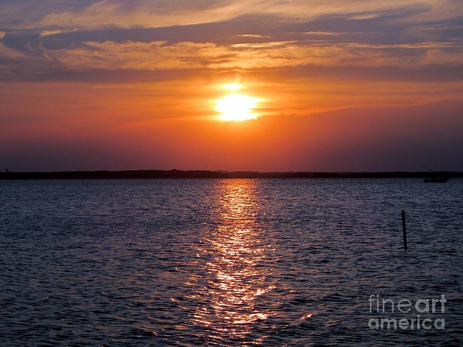 Sunset At The Bay Photograph by Susan Carella