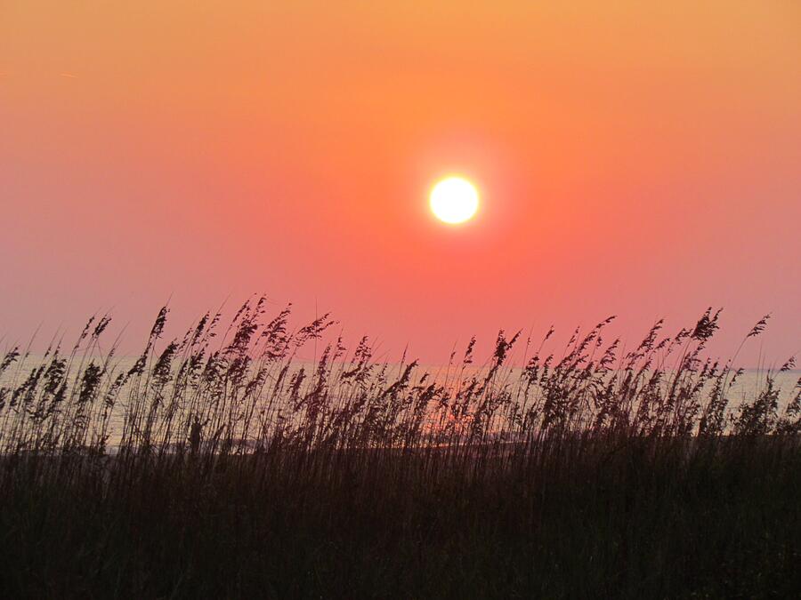 Sunset At The Beach Photograph by Cynthia Guinn