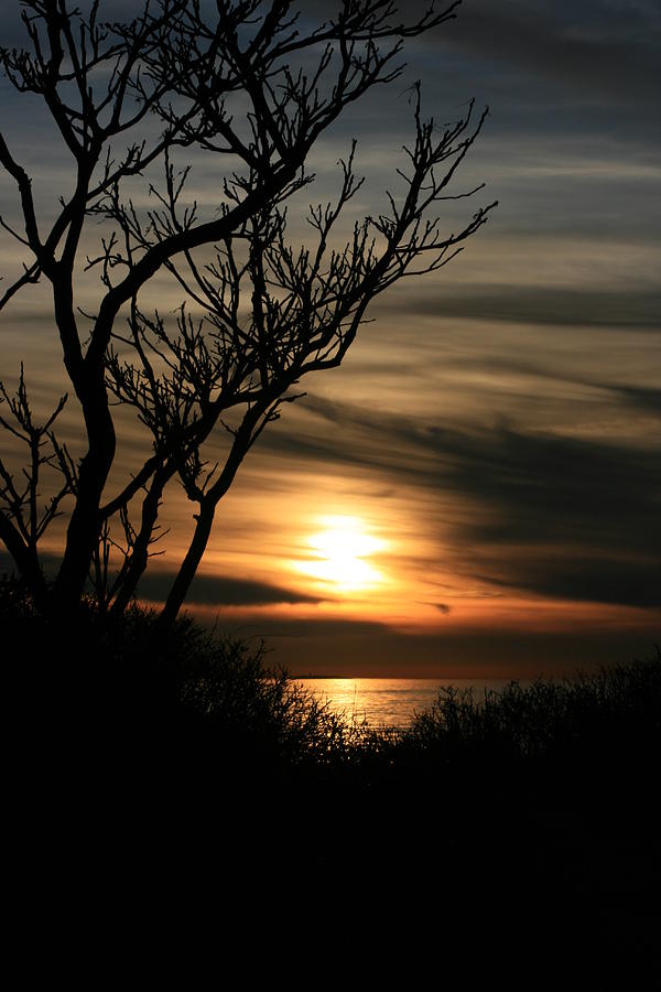 Sunset Photograph - Sunset at the beach. by Marcel  J Goetz  Sr