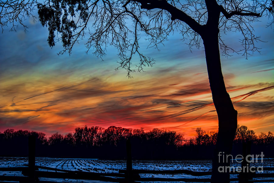 Sunset Photograph - Sunset At The Cornfield by Kathy Liebrum Bailey