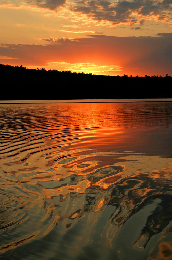 Sunset Photograph - Sunset at the Lake by Barbara West