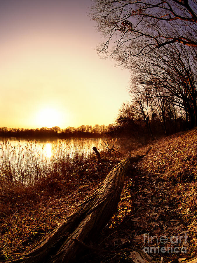 Sunset Photograph - Sunset at the lake by Daniel Heine