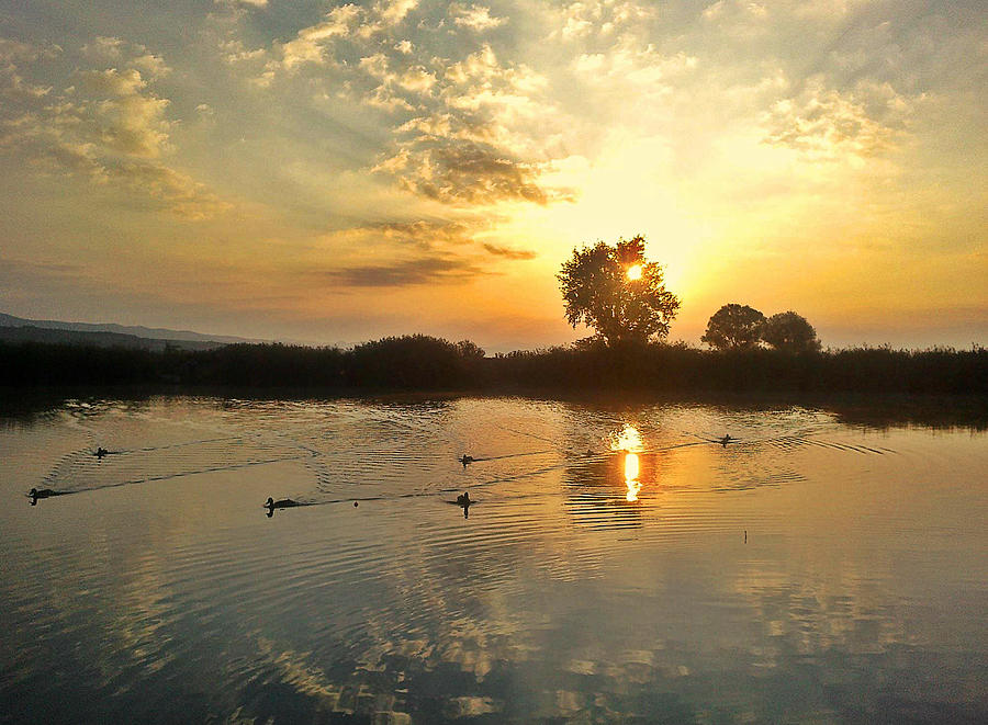 Sunset at the lake Photograph by Rumiana Nikolova