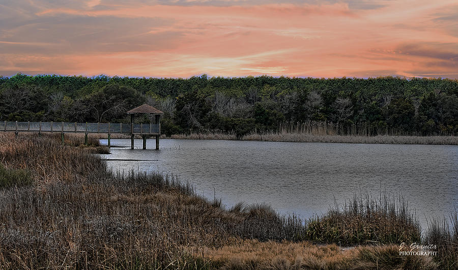Sunset at the Marsh Photograph by Joe Granita