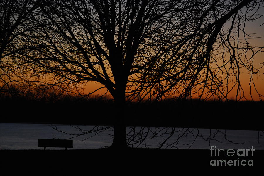 Nature Photograph - Sunset at the Park by Mark McReynolds
