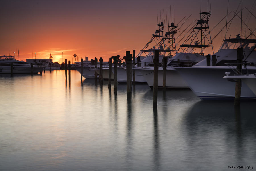 Sunset at the Pelican Yacht Club Photograph by Fran Gallogly