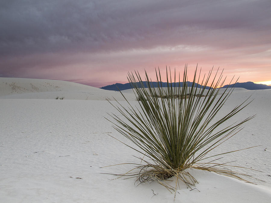 Sunset at White Sands Photograph by Jean Noren
