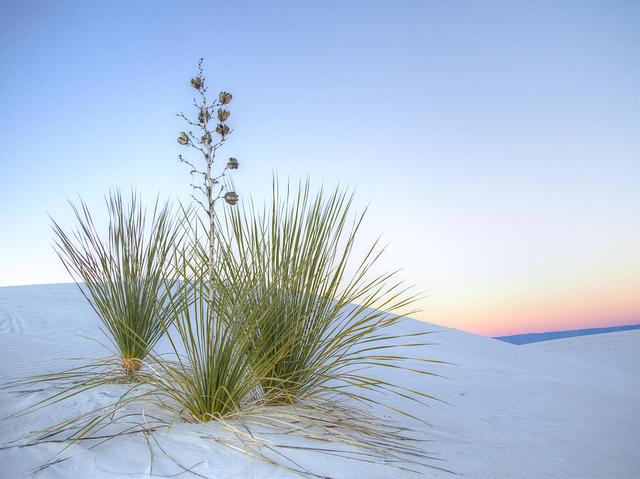 Sunset at White Sands Monument Photograph by Jean Noren