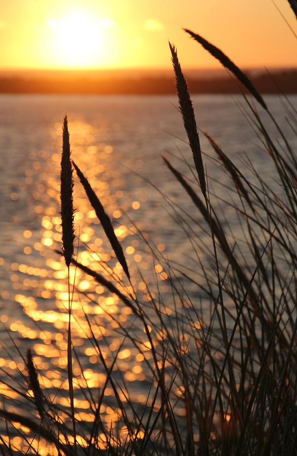 Sunset Beach Photograph by Athena Mckinzie