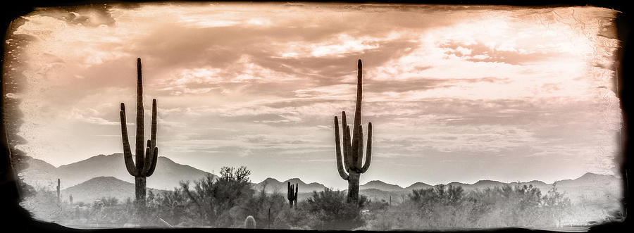 Nature Mixed Media - Sunset AZ Style by Elaine Malott