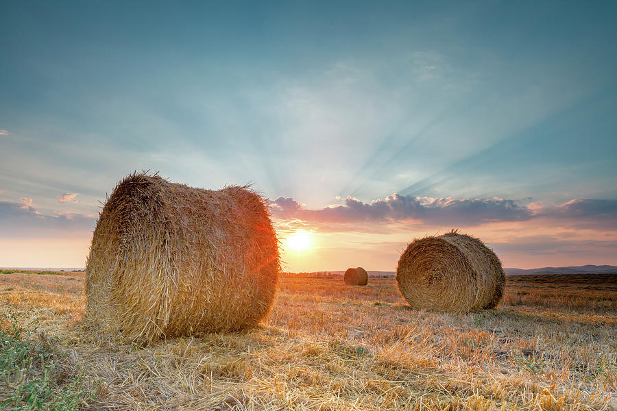 Sunset Bales Photograph by Evgeni Dinev Photography