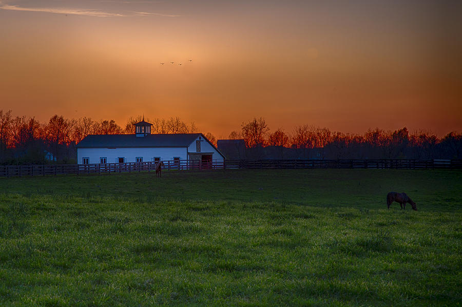 Walmac Farm KY  Photograph by Jack R Perry