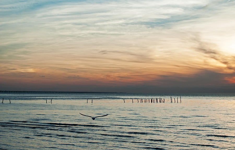 Sunset Bay Photograph by Elsa Santoro