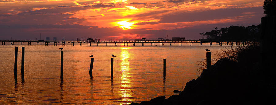 Sunset Bay Photograph by Renee Hardison