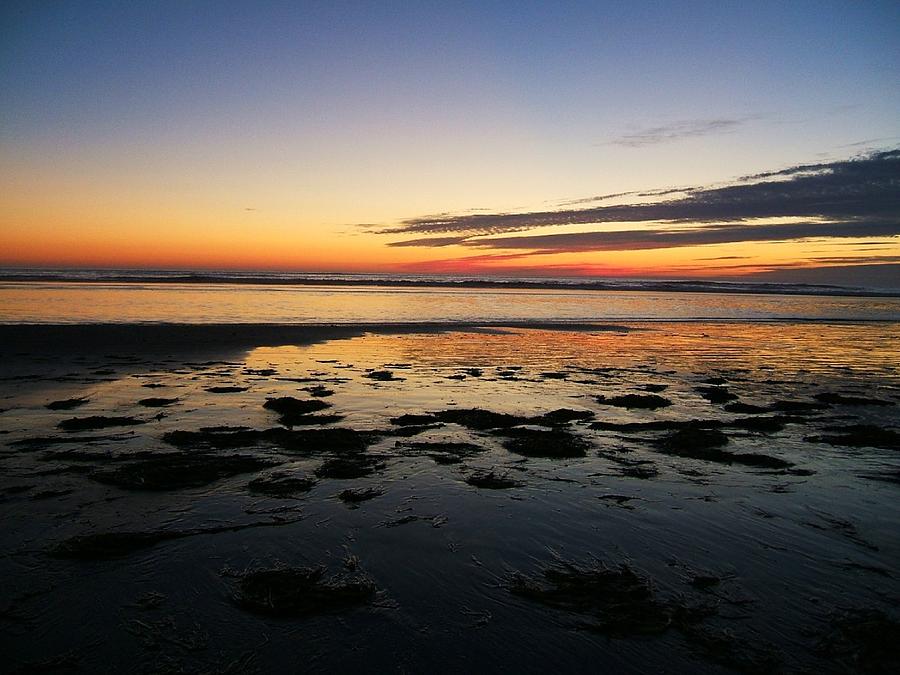 Sunset Beach Photograph by Alexander Fedin