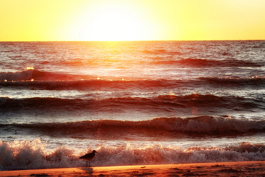 Sunset Beach Photograph by Daniel George