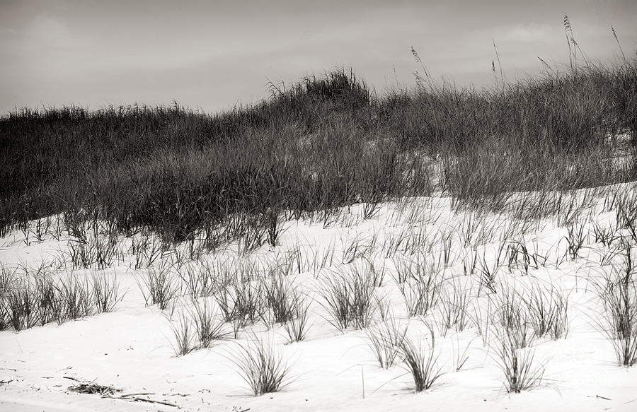 Sunset Beach Sepia Dune mono Photograph by John Rizzuto
