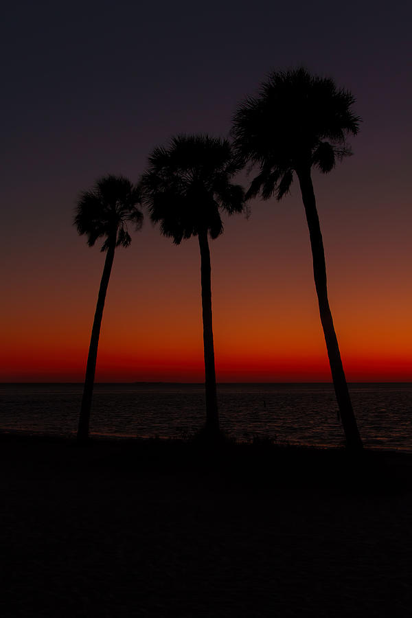 Sunset Beach Silhouette Photograph by Jerry Nettik