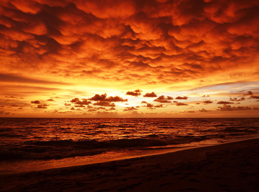 Sunset Photograph - Sunset Before The Storm by Melanie Moraga