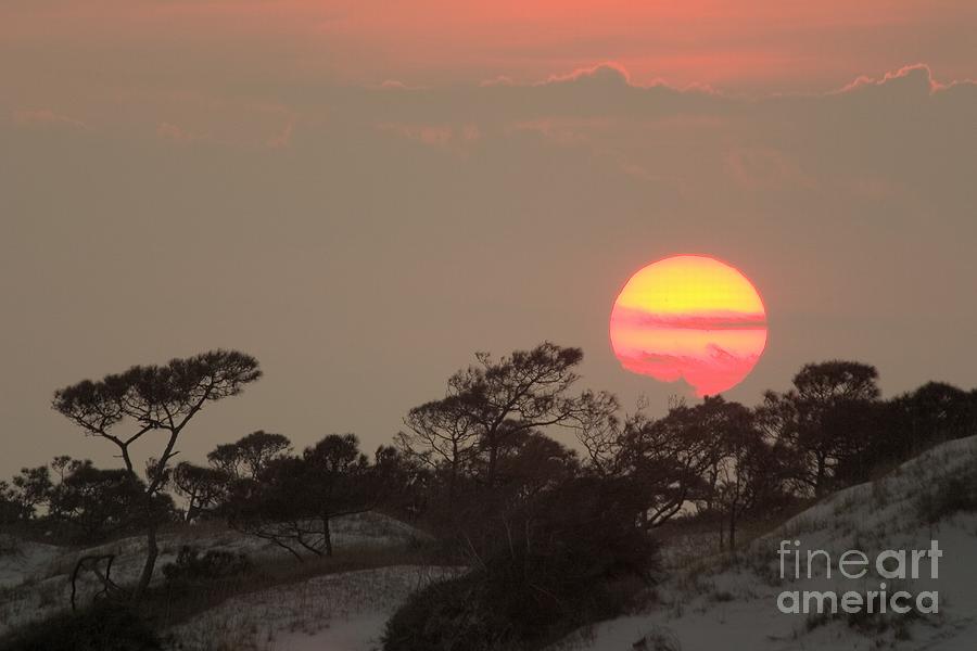 Sunset behind Sand Dunes and Pines Photograph by John Harmon
