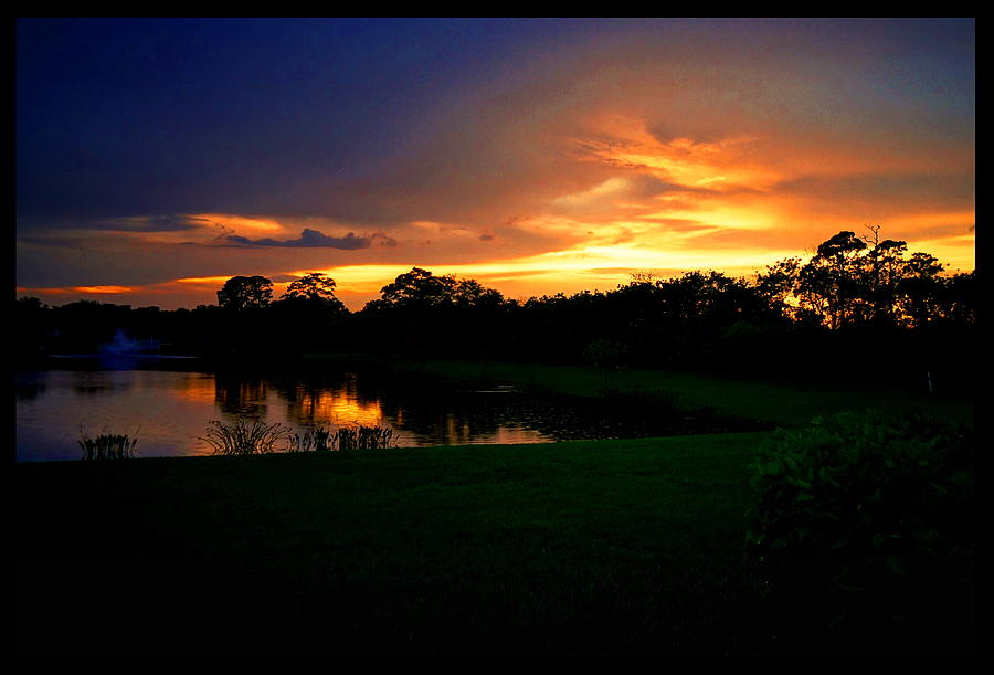 Sunset Photograph - Sunset Behind the Forest by Maideline Sanchez