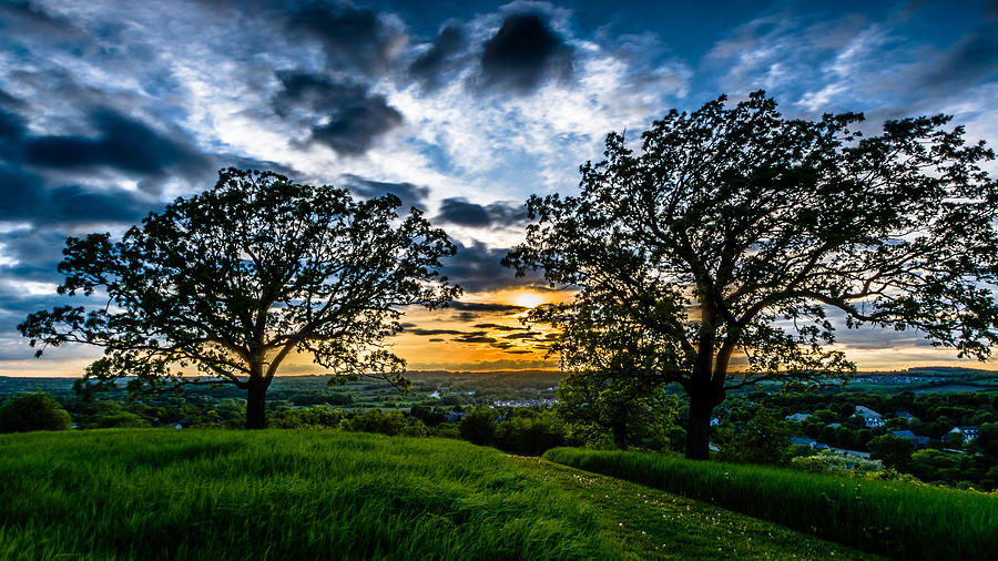 Sunset Photograph - Sunset Between The Oaks by Randy Scherkenbach