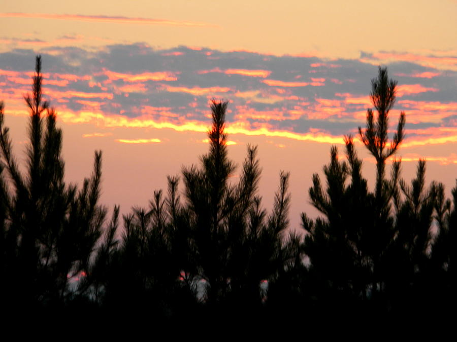 Sunset Beyond The Trees Photograph