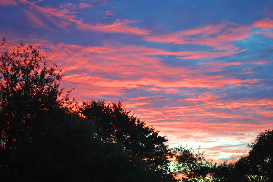 Sunset Bicolor Photograph