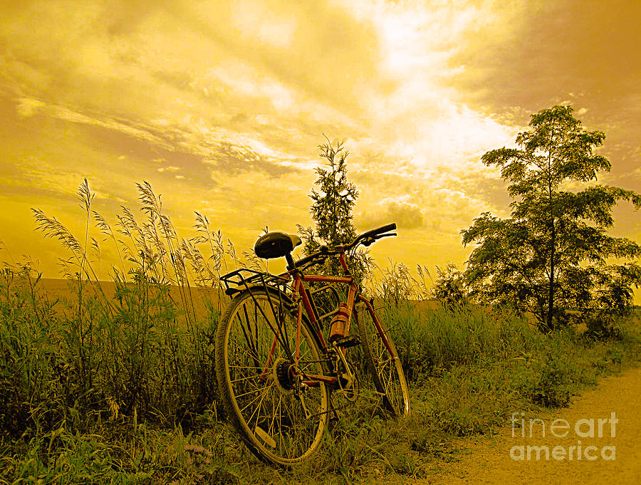 Sunset Biking Photograph by Nina Silver