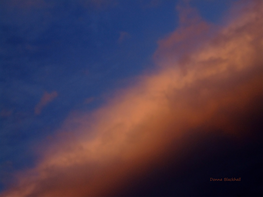 Sunset Blue Photograph by Donna Blackhall