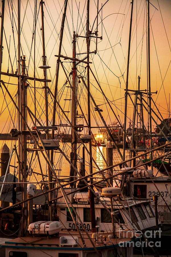 Boat Mast Photograph - Sunset Boat Masts at Dock Morro Bay Marina Fine Art Photography Print sale by Jerry Cowart