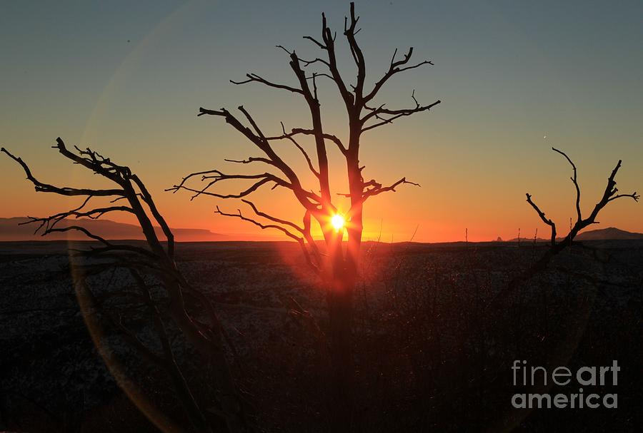 Mesa Verde National Park Photograph - Sunset Bulls Eye by Adam Jewell