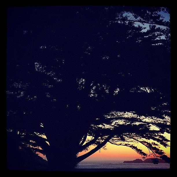 Sunset Photograph - Sunset By The Bay. Sf,ca
#sanfrancisco by Vincent Atos