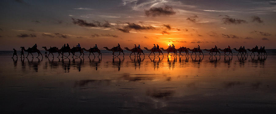 Sunset Photograph - Sunset Camel Safari by Louise Wolbers