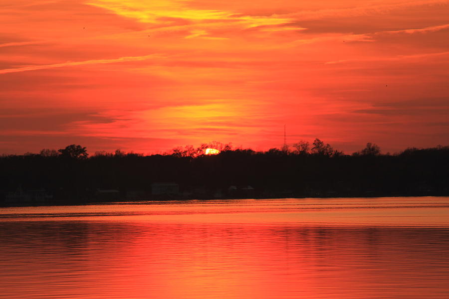 Sunset Photograph by Carolyn Ricks